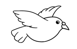 和平鸽简笔画