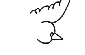 儿童学画简单的鸽子简笔画