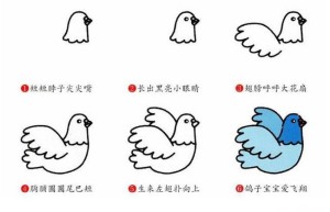 学画鸽子简笔画步骤图文教程
