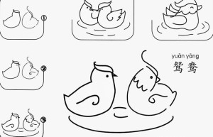 鸳鸯如何简单画