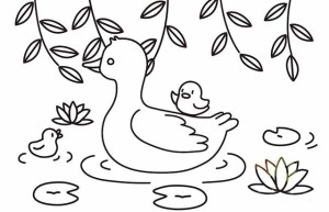 游来游去的鸭子简笔画彩色画法图片