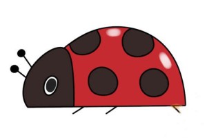 七星瓢虫简笔画