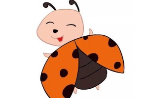 三款卡通七星瓢虫简笔画图片