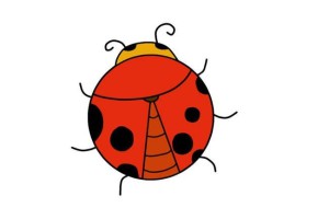 漂亮的七星瓢虫简笔画