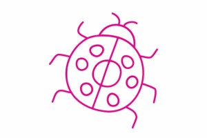 瓢虫简笔画