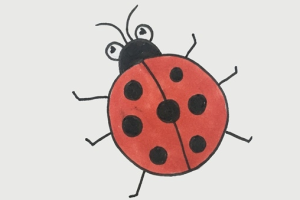 七星瓢虫怎么画