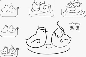 鸳鸯如何简单画