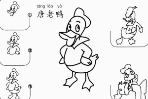 卡通人物唐老鸭的画法步骤图