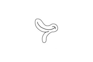 卡通鸭子简笔画