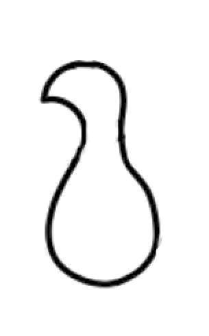 孔雀简笔画