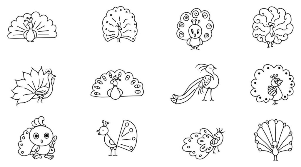 孔雀简笔画