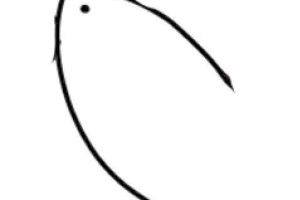 小鸡简笔画