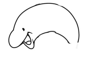 海豚简笔画