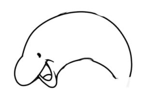 海豚简笔画