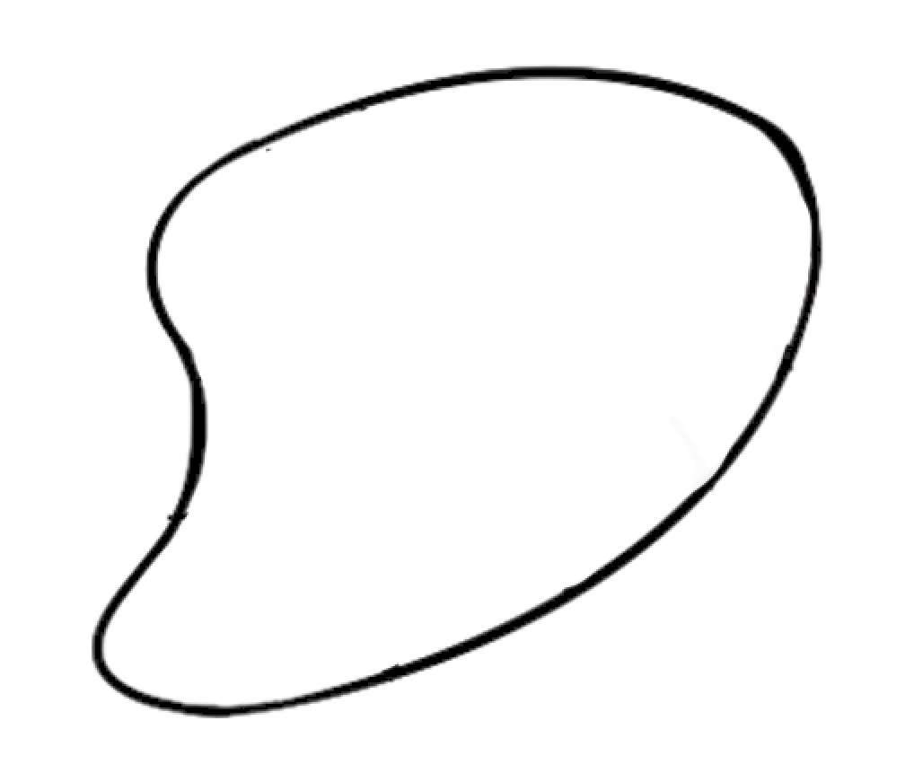 贝壳简笔画