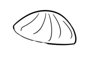 贝壳简笔画