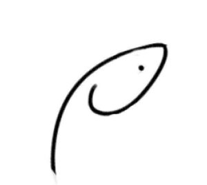 大虾简笔画