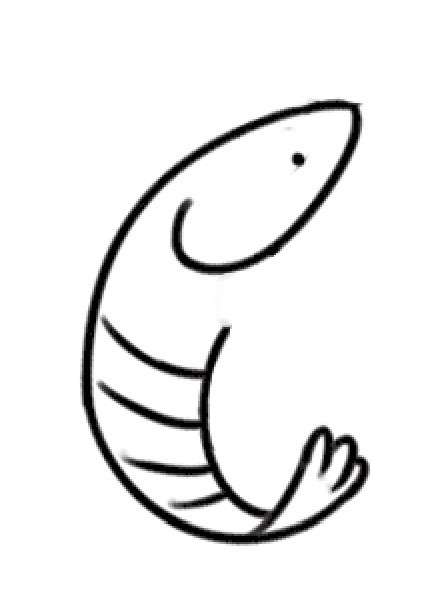 大虾简笔画
