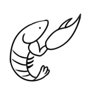 大虾简笔画