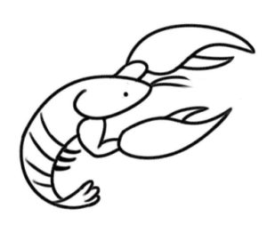 大虾简笔画