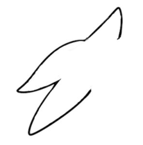 海星简笔画