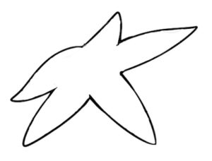 海星简笔画