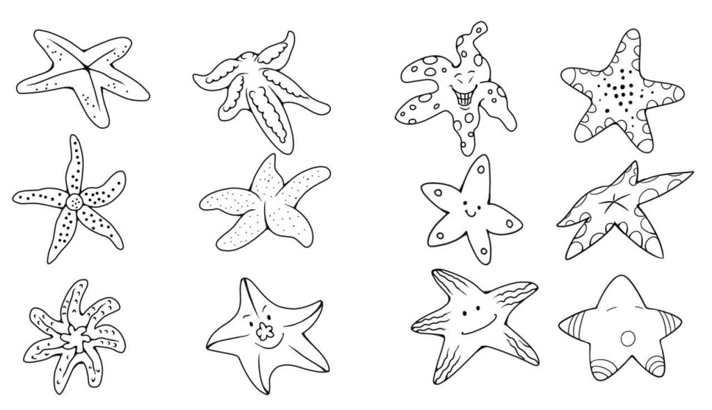 海星简笔画
