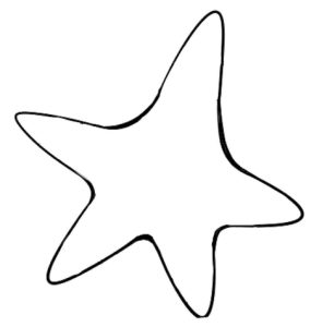 海星简笔画