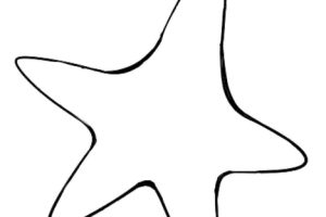 海星简笔画