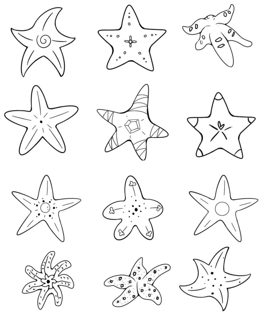 海星简笔画