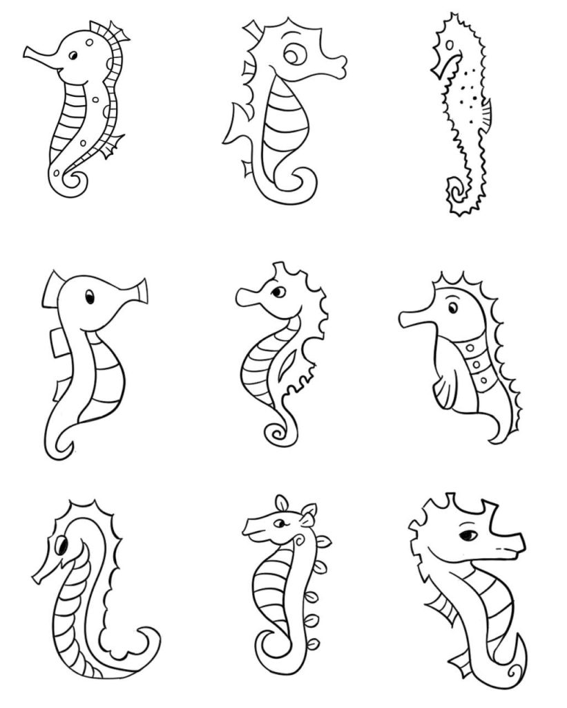 海马简笔画
