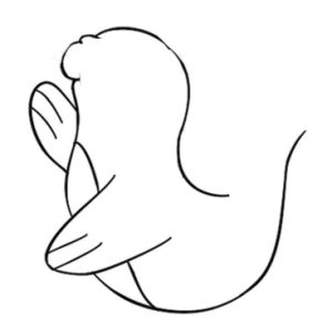 海狮简笔画