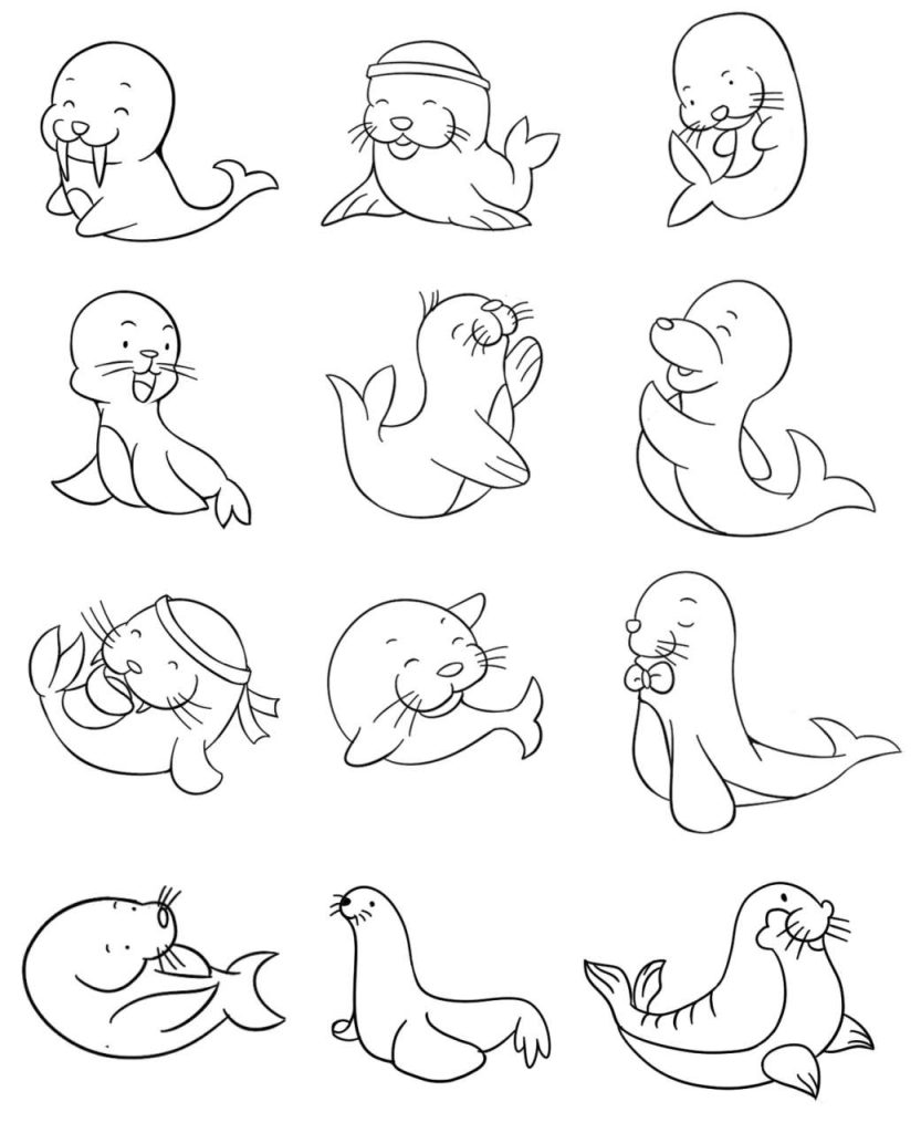 海狮简笔画