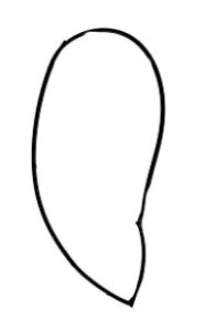 乌龟简笔画