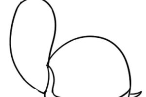 乌龟简笔画