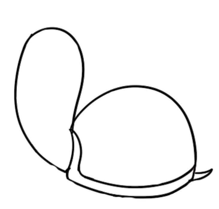 乌龟简笔画