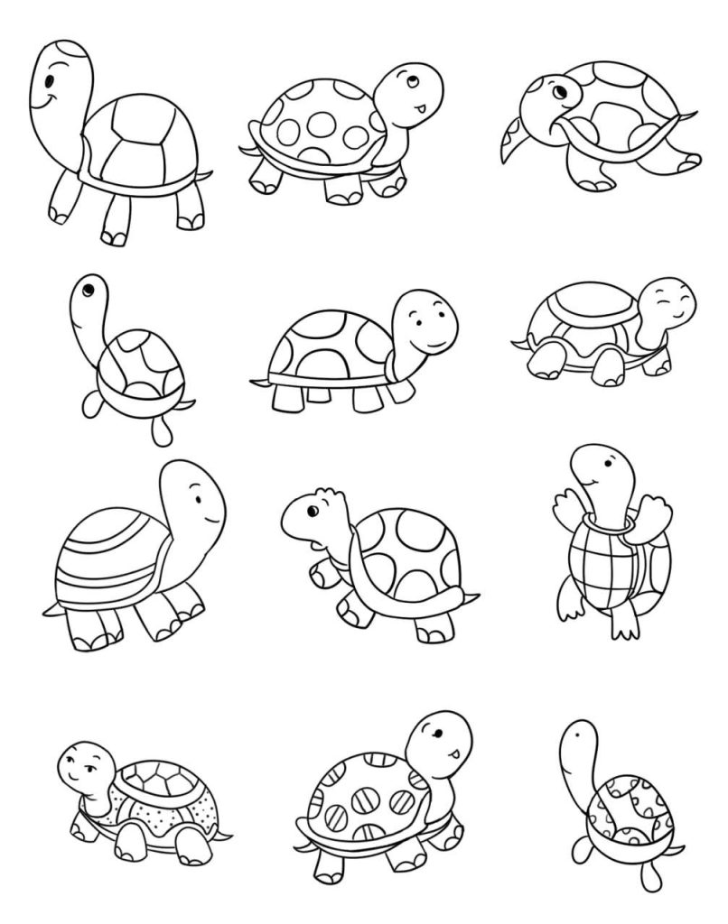 乌龟简笔画