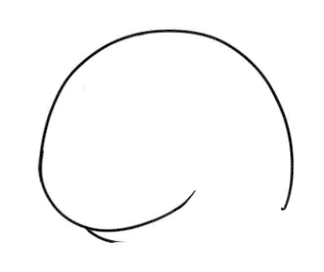 鲸鱼简笔画