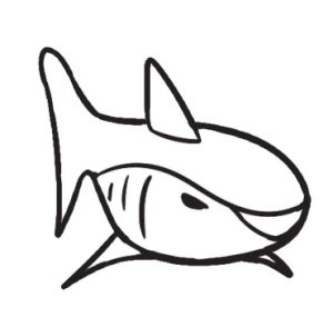 鲨鱼简笔画