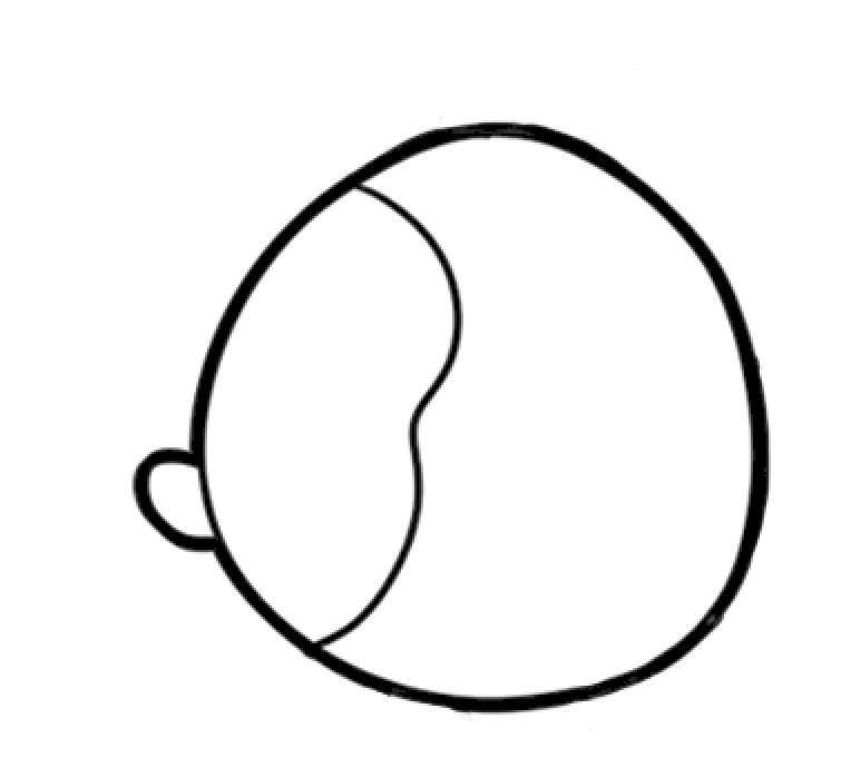 热带鱼简笔画