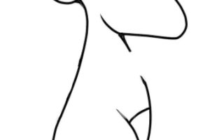袋鼠简笔画