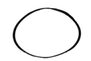 兔子简笔画