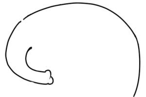 大象简笔画