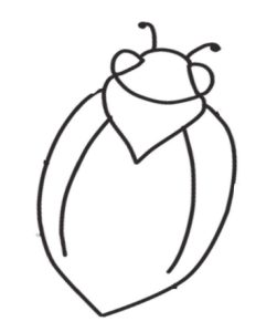 甲虫简笔画