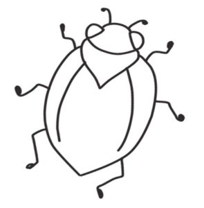 甲虫简笔画