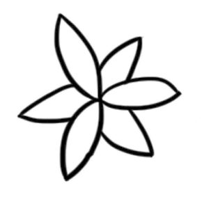 百合花简笔画