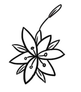 百合花简笔画