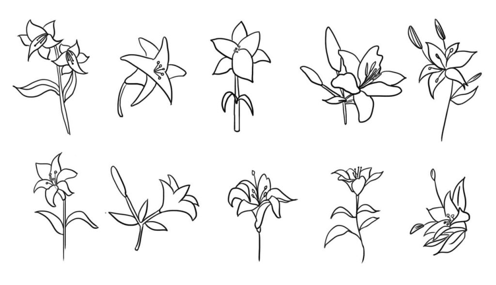 百合花简笔画