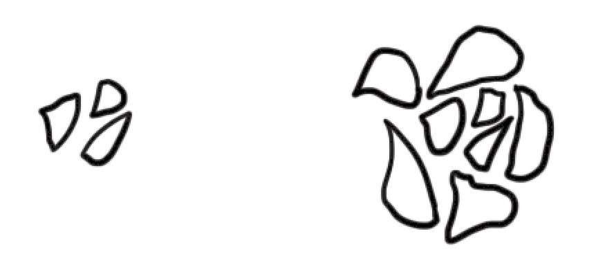 玫瑰花简笔画
