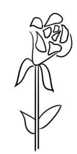 玫瑰花简笔画